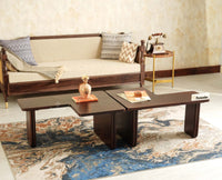 Pivot Flexi Wooden Coffee Table Multi Functions Use Coffee & Side Table Grey Finish