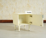 Poland Solid Wood Bedside Table One Door Frosty White