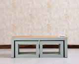 Portugal Solid Wood Coffee Table With Two Stool - Stools - Furniselan - Silt Green