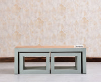 Portugal Solid Wood Coffee Table With Two Stool - Stools - Furniselan - Silt Green