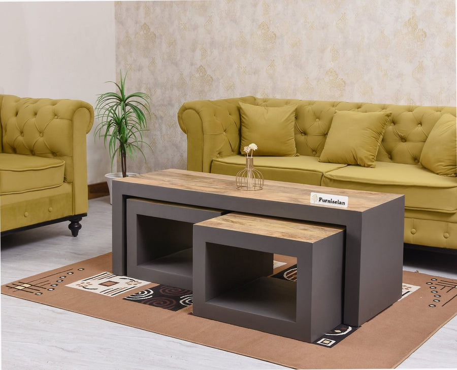 Portugal Solid Wood Coffee Table With Two Stool - Stools - Furniselan - Slate Grey
