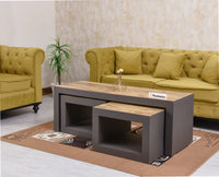 Portugal Solid Wood Coffee Table With Two Stool - Stools - Furniselan - Slate Grey
