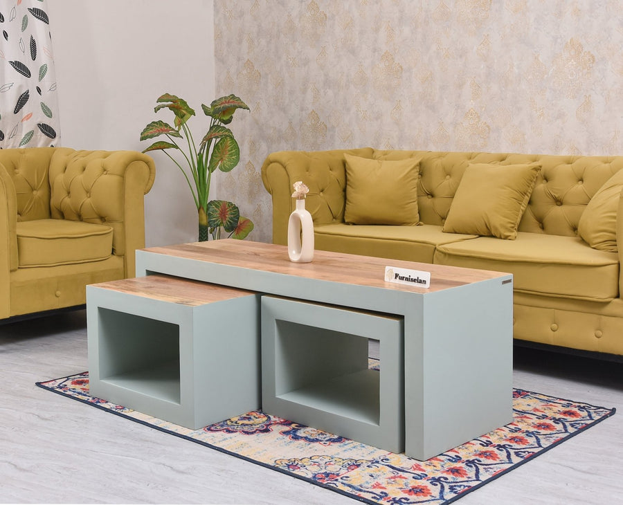 Portugal Solid Wood Coffee Table With Two Stool - Stools - Furniselan - Silt Green