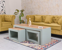 Portugal Solid Wood Coffee Table With Two Stool - Stools - Furniselan - Silt Green