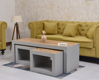 Portugal Solid Wood Coffee Table With Two Stool - Stools - Furniselan - Cool Grey