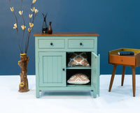 Spain Wooden Two door Sideboard Cabinet Furniselan - Silt-Green