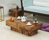 Kota Sheesham Wood Coffee Table With Two Drawers - Coffee Table - FurniselanFurniselan